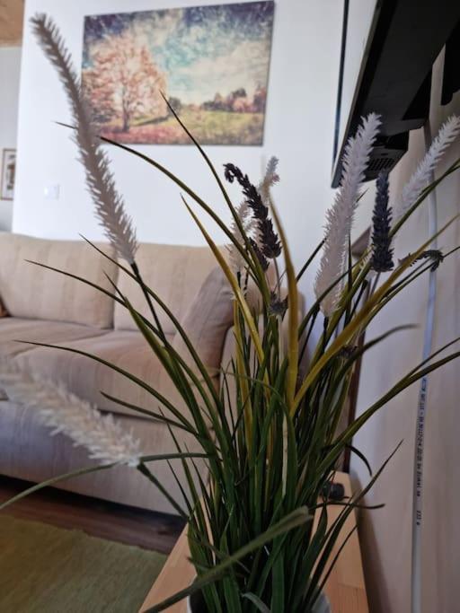Gs Appartement
